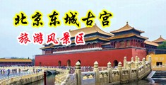 Bb操影院中国北京-东城古宫旅游风景区